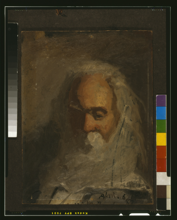 Walt Whitman, head-and-shoulders portrait, facing slightly left) - Percy Ives LCCN96506151, 1882