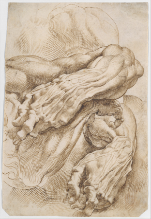 Anatomical Studies: a left forearm in two positions and a right forearm, Peter Paul Rubens