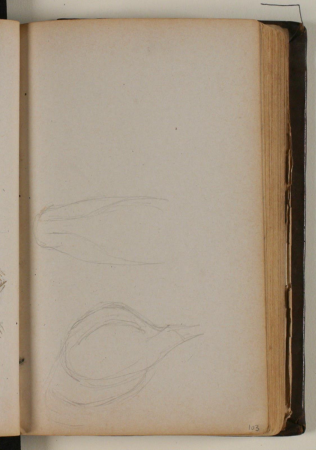 Studier af vildsvin, Niels Larsen Stevns