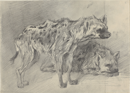 Twee hyena's, RP-T-1907-32(R), Frederik Willem Zürcher, between 1845 and 1894