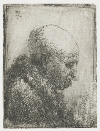 Kale man in profiel Kaalhoofdige man profiel naar rechts de vader van Rembrandt , RP-P-OB-643, Rembrandt, 1630
