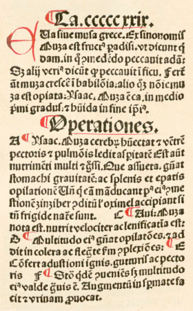 Lignum vitae in paradiso (text), 1491