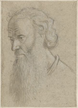 Carpaccio - Head of a Bearded Man, towards Left, 5070 r, Vittore Carpaccio