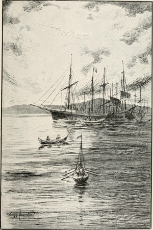 Ice-bound on Kolguev - a chapter in the exploration of Arctic Europe to which is added a record of the natural history of the island (1895) (14595391707), 1895