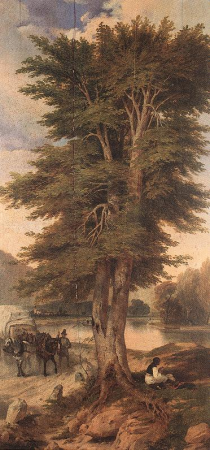 Signboard of the Green Tree, Miklós Barabás, 1838