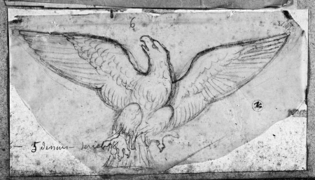 Ingres - MI.867.2615, Un aigle
