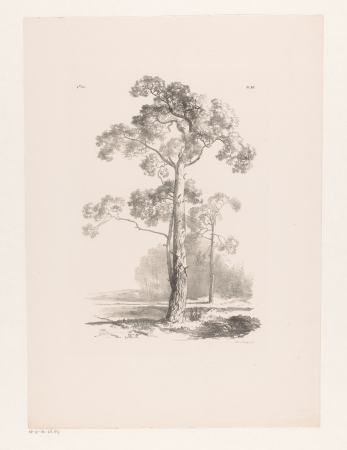 Boom in landschap, RP-P-OB-28.837, Barend Cornelis Koekkoek, between 1844 and 1845
