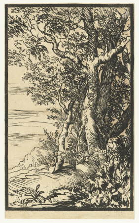 Landschap met een groep bomen, RP-P-OB-4634, Jan Lievens, between 1625 and 1674