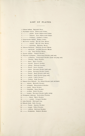 Illustrations of the family of Psittacidae, or parrots (1832) -index page -by Edward Lear, Edward Lear