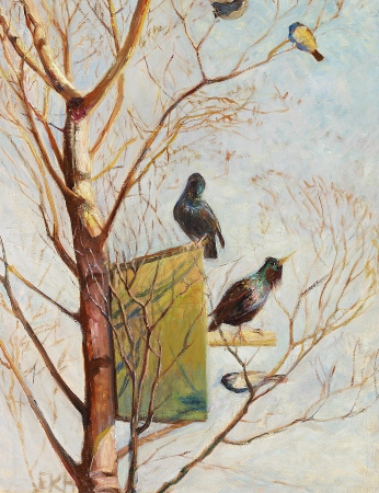 A nesting box with starlings., Elise Konstantin-Hansen