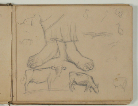Sketches of a pair of feet and cows. Also scratching by storks, Niels Larsen Stevns