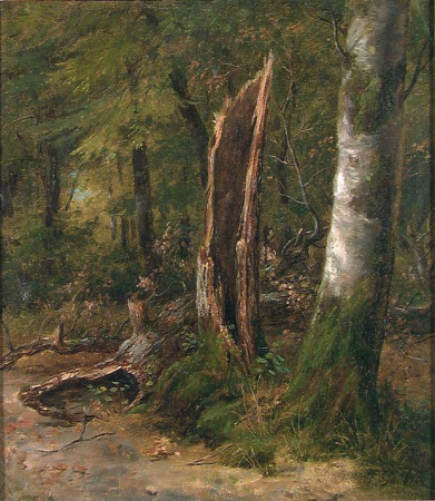 Study of Trees, Johan Gørbitz