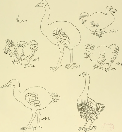Extinct birds - an attempt to unite in one volume a short account of those birds which have become extinct in historical times - that is, within the last six or seven hundred years - to which are (14564153928), 1907