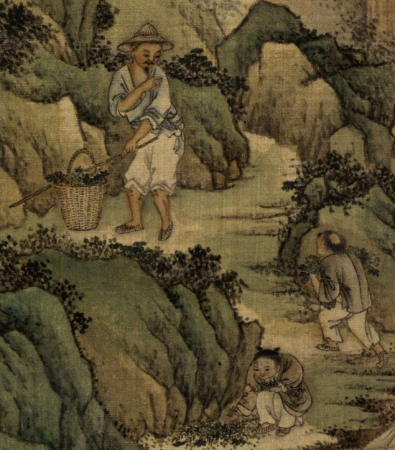 "Xu Yang Duanyang Storybook: Collecting Herbs", Xu Yang