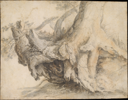Study of a Tree, Roelant Savery, circa 1606–7