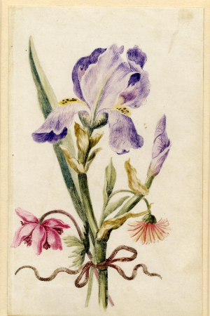 Drawing, album, between 1639 and 1682