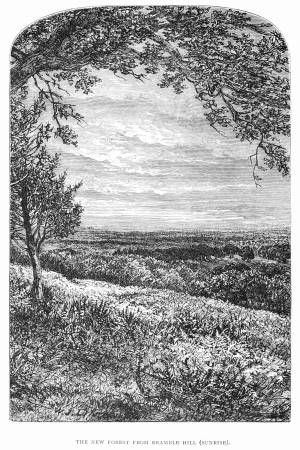 The New Forest its history and its scenery - frontispiece, 1862