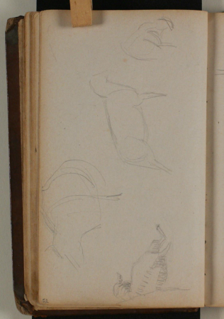 Skitser af får, Niels Larsen Stevns