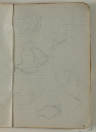 Skitser af hønsefugle, Niels Larsen Stevns