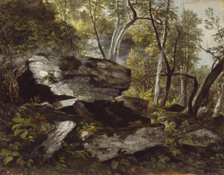 Study from Nature: Rocks and Trees, Asher Brown Durand, circa 1856