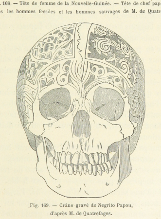 275 of 'La création de l'homme et les premiers âges de l'humanité ... Ouvrage illustré, etc. (With a preface by C. Flammarion.)' (11289184433)