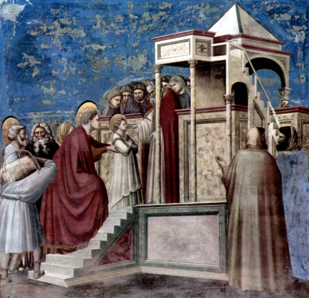 No. 8 Scenes from the Life of the Virgin: 2. Presentation of the Virgin in the Temple, Giotto, from 1304 until 1306