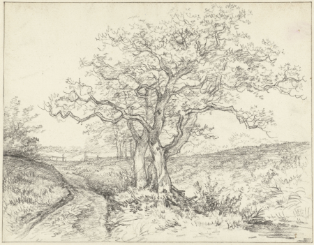 Bomen langs een weggetje, RP-T-1933-31, Jan Hulswit, between 1776 and 1822