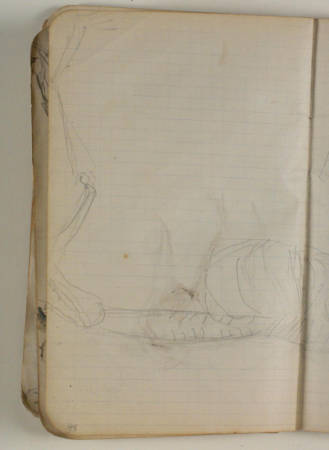 Skitse af dyreskelet, Niels Larsen Stevns