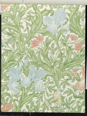 Wallpaper Sample Book 1, page 50: Iris, pattern #224, between 1915 and 1917