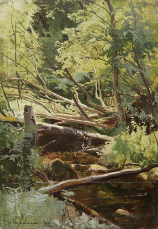 Stream in the forest, Ivan Shishkin, 1881