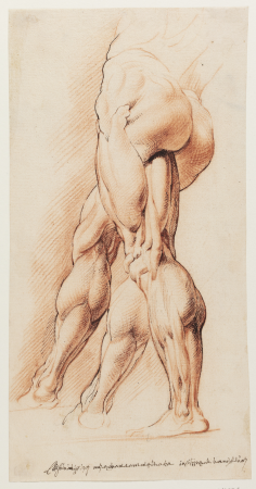 Anatomical study of a skinned man's left leg seen from the left and his right leg in two different positions (écorché), Willem Panneels