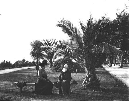 Older man with beard and woman seated on bench next to palm trees, unidentified location, ca. 1906, circa 1906