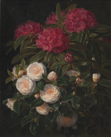 Kamelier og rhododendron, Johan Laurentz Jensen, 1852