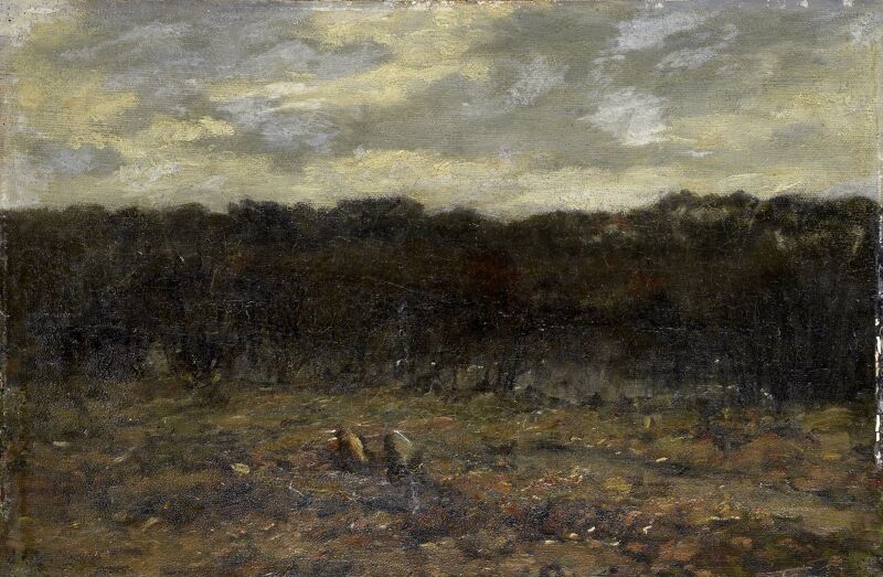 Vennetje op de heide, Jan Adam Zandleven, between 1890 and 1923