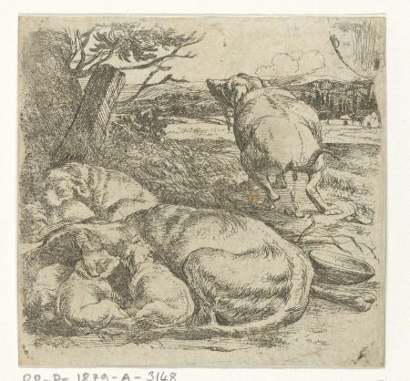Teefje met puppies, RP-P-1879-A-3148, Jan van Ossenbeeck, between 1647 and 1674