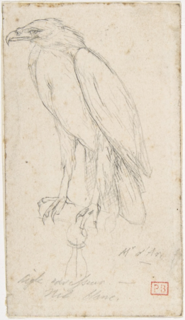 A Golden Eagle, Charles Méryon, after 1859