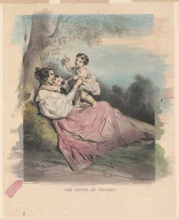 The bunch of grapes - On stone by Wild ; from Childs & Inman Press. LCCN2003681607, between 1831 and 1833