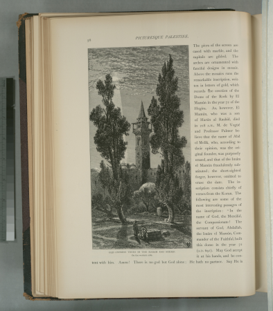 Old cypress trees in the Haram esh Sherif on the western side., 1881