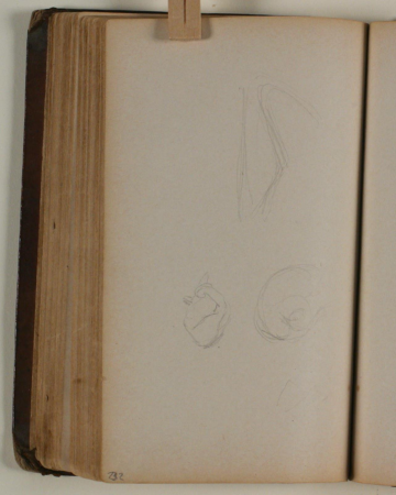 Studier af fugle, Niels Larsen Stevns