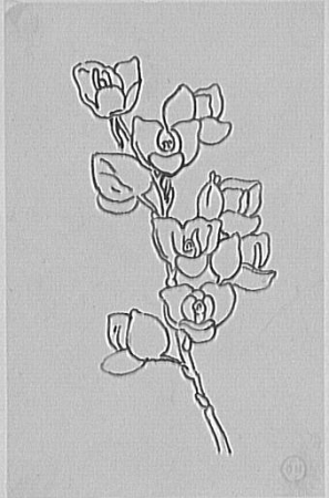 Study of a rose branch, Gustave Moreau, between 1850 and 1895