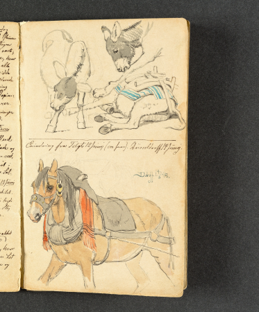 Studies of donkeys and a harnessed horse, Johan Lundbye, 1845