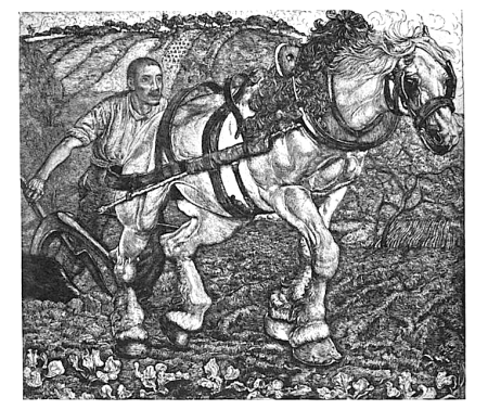 The Plough-Horse Pieter Dupont, Pieter Dupont, before 1911