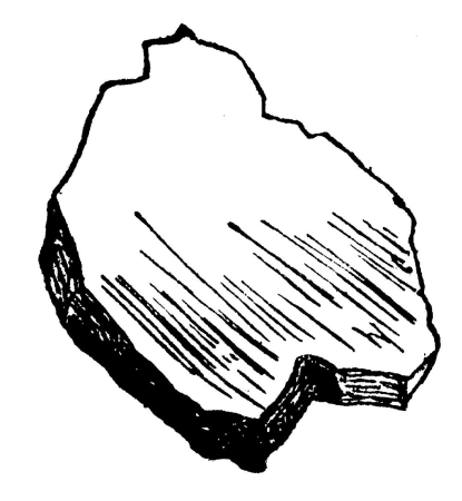 Lear 2 - Zinc-small, Edward Lear