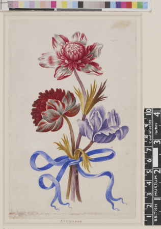 Drawing, album, between 1639 and 1682