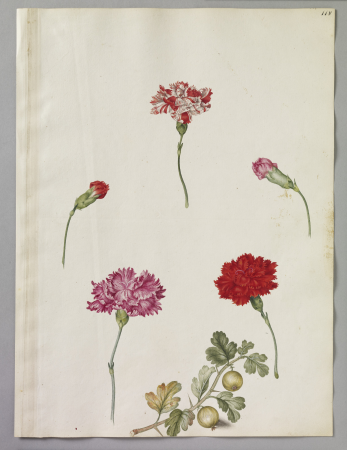 Alexander Marshal (RCIN 924385), Alexander Marshal