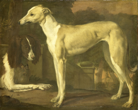 Portrait of a greyhound and a partridge dog, Jan Weenix, between 1665 and 1680