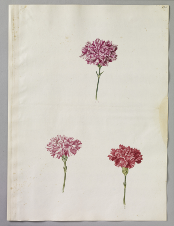 Alexander Marshal (RCIN 924392), Alexander Marshal