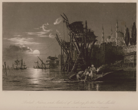 Baluk Hana, and Method of Fishing for the Red Mullet At this spot, state criminals are thrown into the Bosphorus from th - Walsh Robert & Allom Thomas - 1836