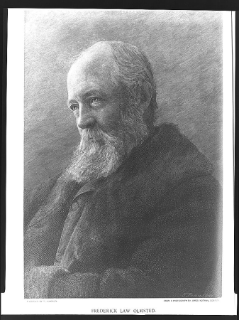 Frederick Law Olmsted - engraved by T. Johnson ; from a photograph by James Notman. LCCN95514014, Thomas Johnson, 1893
