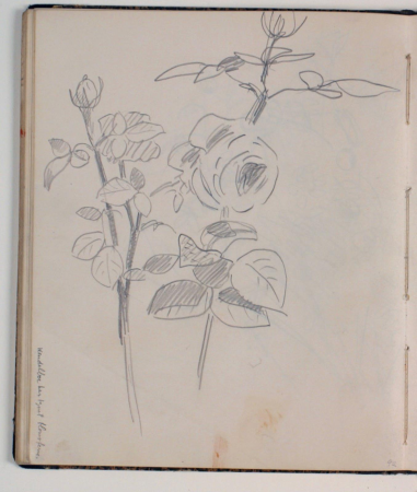 Studier af roser, Niels Larsen Stevns